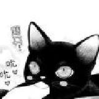 黑猫都是受