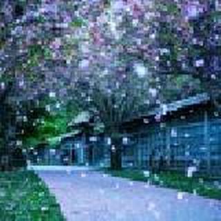 我非柠檬为何心酸