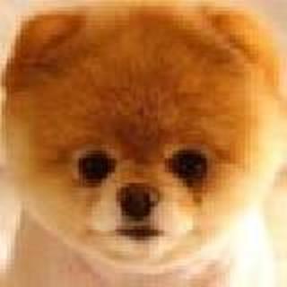 `(*∩_∩*)′