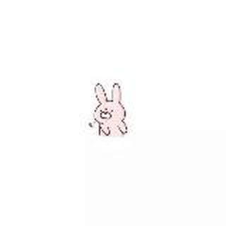 Aner