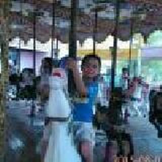 湖北武汉       水仙花YPP