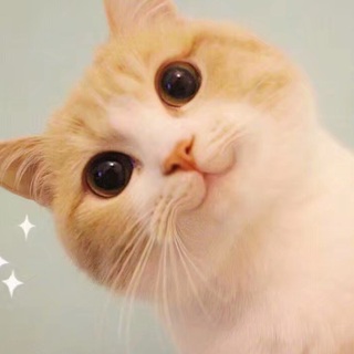 菡涵