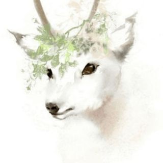 百里默