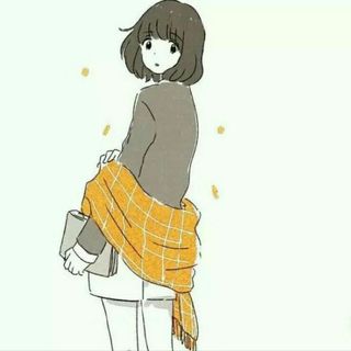 狸