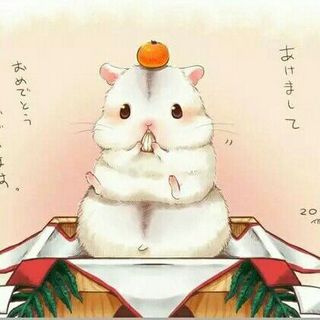 渺渺