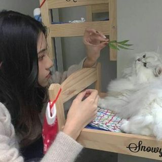 偲雨