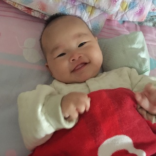 文子飞飞