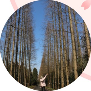 belongshasha