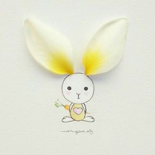 Miss_孙孙