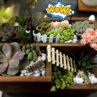 咖啡豆