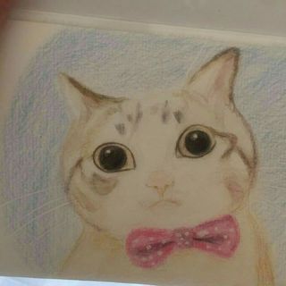 武林萌主🐱