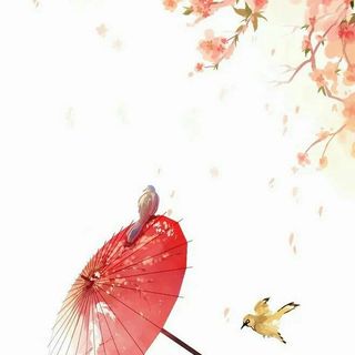 深情.Y