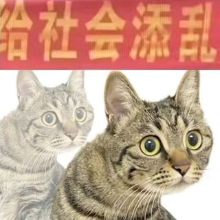 折枝春赠你