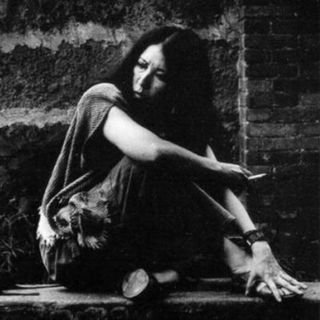 奔跑的二毛