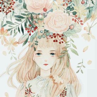 晓听、花若
