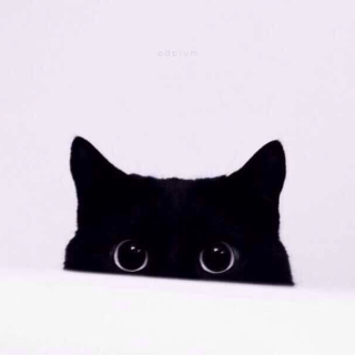 魔女黑猫