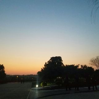 忘仙