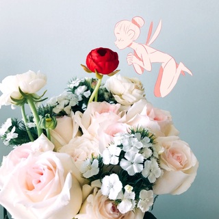 桃枝妖妖国民逗逼