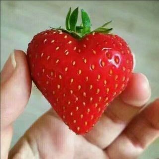 眼前划过的流星