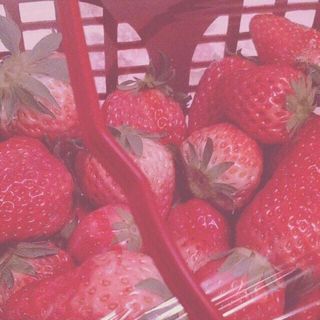 木易