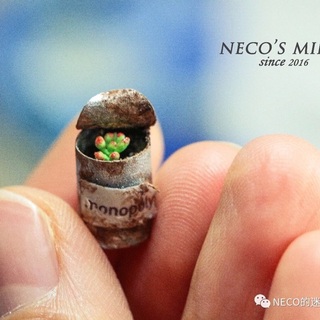 NECO'SMINI