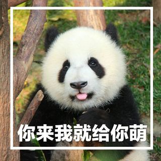 是滚滚不是滚滚滚