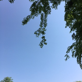壹。