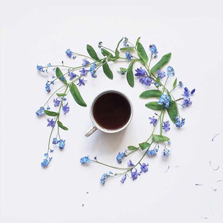 穿上帆布鞋做自己