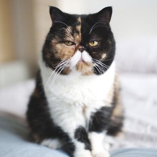 Tina.S