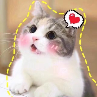 叶昕