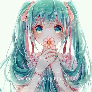 初音缘梦