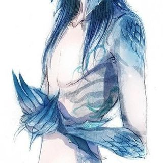 鲛人