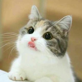 臾