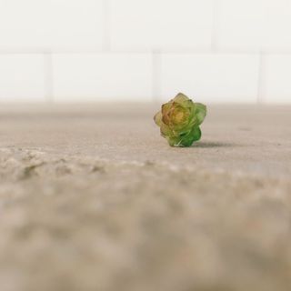 等風来