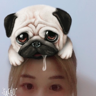 sgk_5_1500802326929