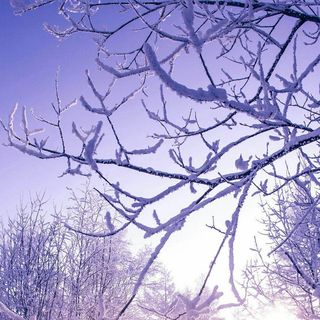 梦之夏天，你好