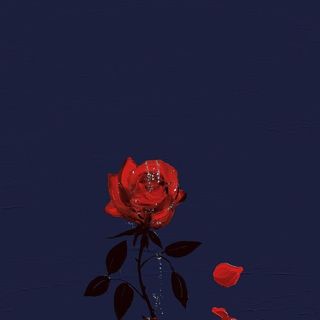 胖哒小狐狸