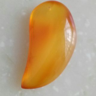sgk_5_1502017391227