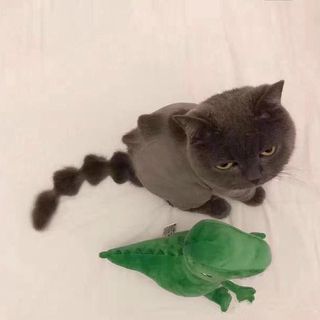 吴凡高