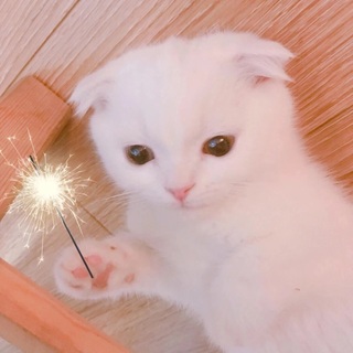 趣儿r.