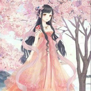 A木槿花