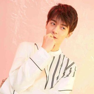 赵志伟的小闊愛