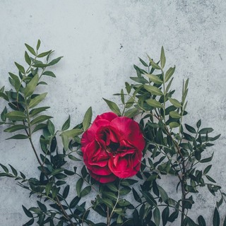 Alin原创手工