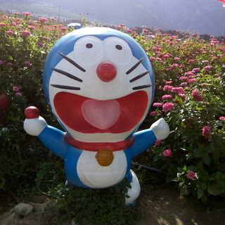 欣欣落