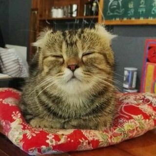 昀殊