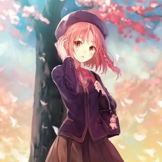 馨雨蝶