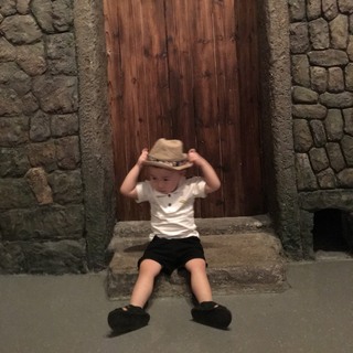 余生多指教、