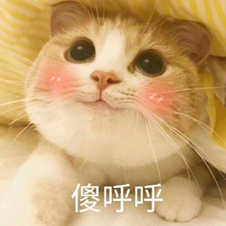 萌小爱