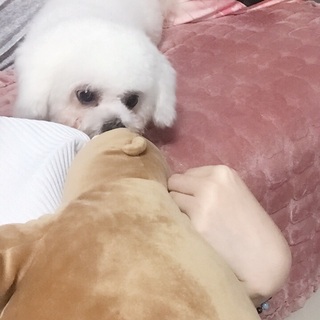 奈戈呀