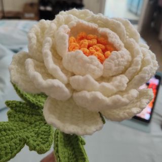 V我50看蟹黄堡秘方